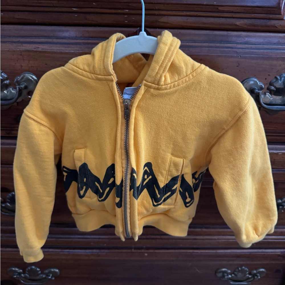 Peanuts Charlie Brown Toddler Zip-Up Hoodie – Size 2T